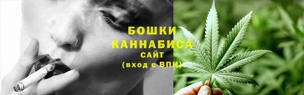 прущие крисы Алзамай