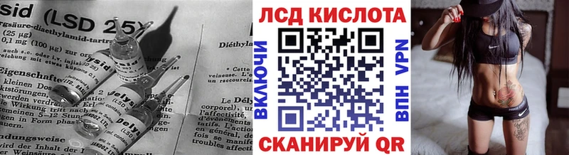 дарнет шоп  Всеволожск  LSD-25 экстази кислота 