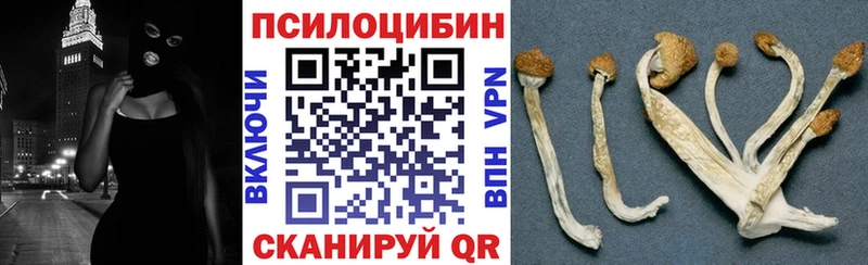Псилоцибиновые грибы Psilocybe  нарко площадка официальный сайт  Всеволожск 
